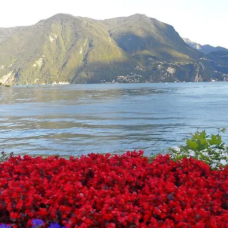 Simpatia Flat Massalongo *